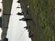 IMG 1191